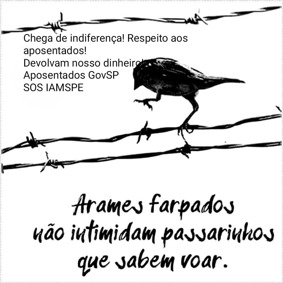 Rosangela Sanches tweet media