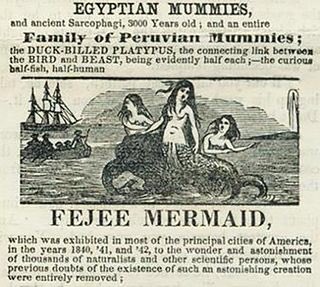 MHuntington7's tweet photo. @mrjeffknox Mutilated corpses, stolen mummies & phony manufactured creatures are an exploitation tradition as old as hucksterism greed itself. #UFOTwitter #UFOX #PeruvianMummies #FijiMermaid #IndigenousExploitation #AlienMummies #Sideshow #UFOSideshow https://t.co/kvfPQe3IAD