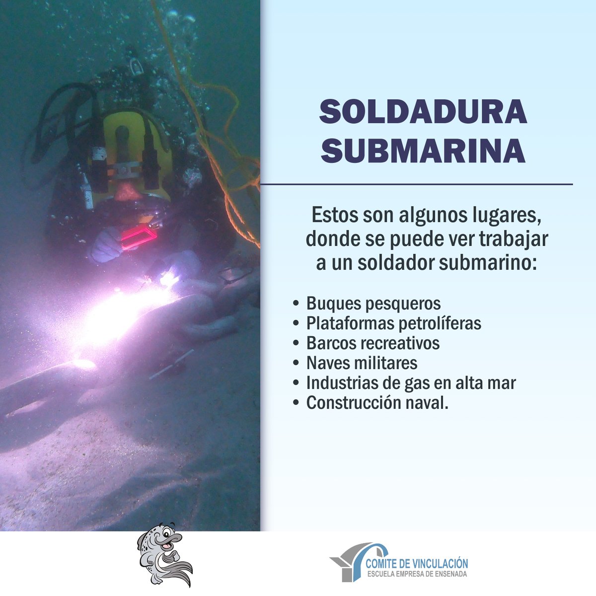 La soldadura submarina es el proceso de unir piezas metálicas bajo el agua.  Es una habilidad esencial para las operaciones submarinas covee@covee.org  https://t.co/MKXtgE5jhR #Covee #Ensenadadecide #ensenada  #desarrollodetalento #vocacion #ensenada ..., image size:1200x1200