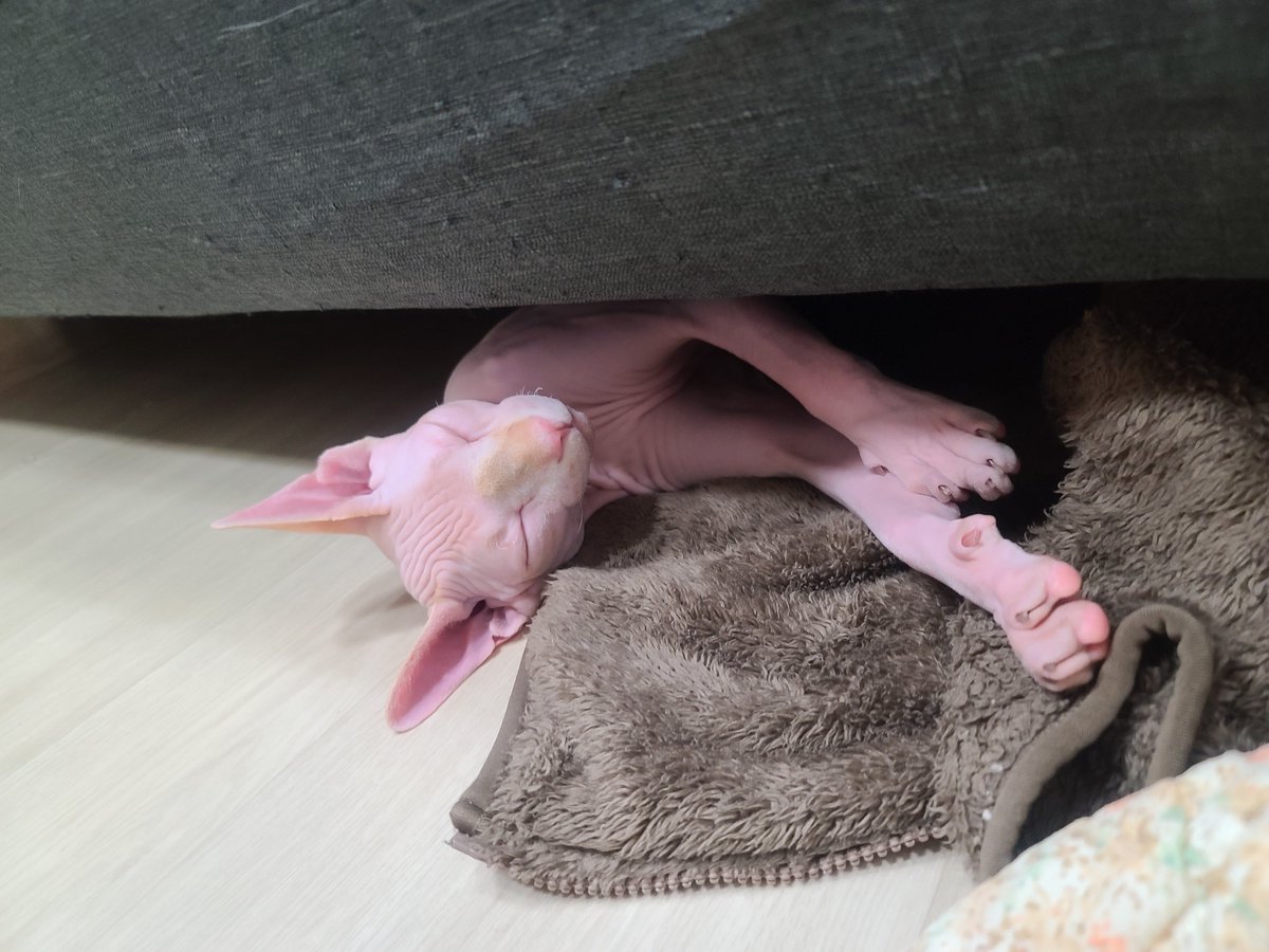 이사전집 보일러 엄청떼서 애가 익음