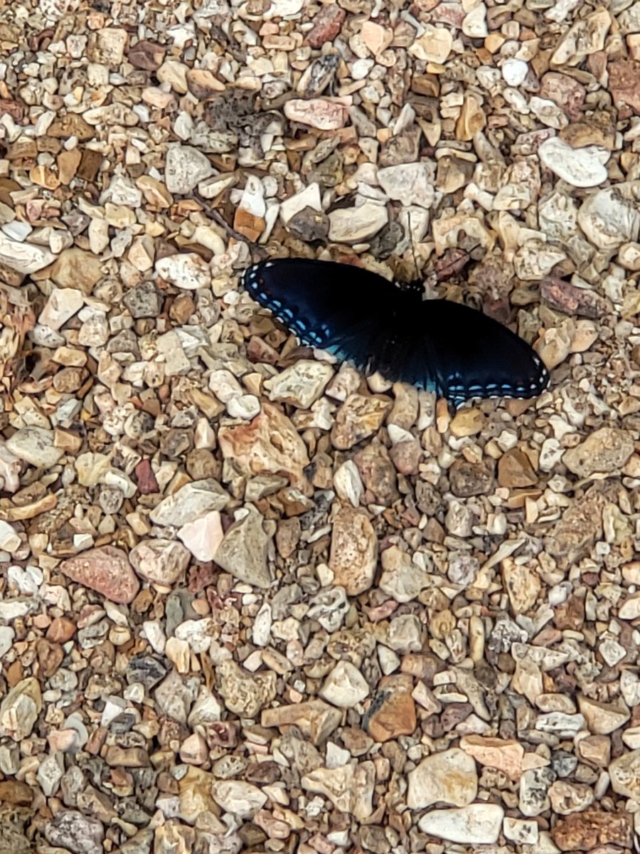 Zer0 - Old tweet media