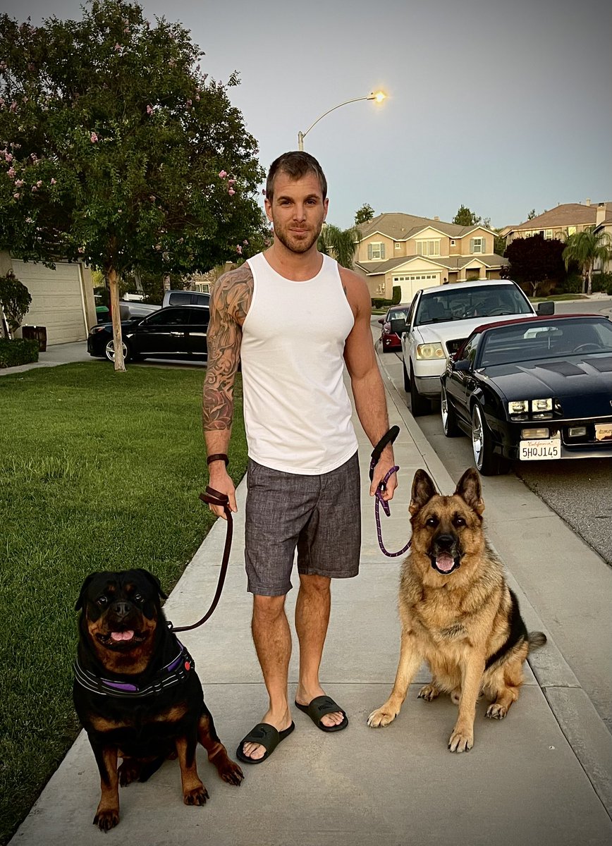 Evan Matthews tweet media