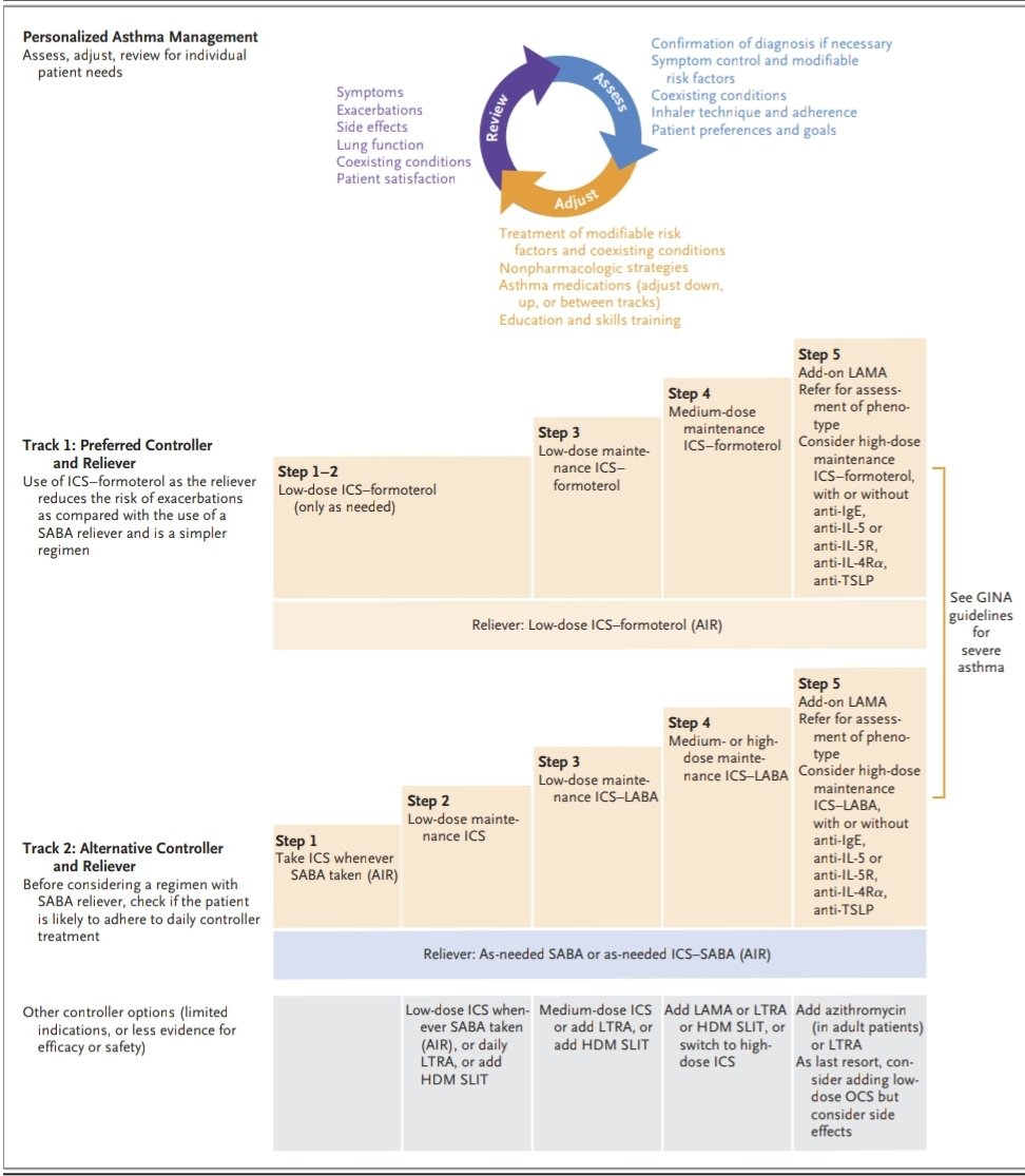 KessnerJp's tweet photo. Asthma: @NEJM
Review!
https://t.co/FGZUkDs1Qh
🫁😱😤📉📚
@ALATorax @atscommunity @EuroRespSoc @SPLF_SocPneumo @pneumosbpt @Lungeninfo @NeumoMadrid @neumopararesis @SeparRespira @BTSrespiratory @ginasthma @AsthmaCanada @AsthmaAustralia https://t.co/eXfwPNFSys