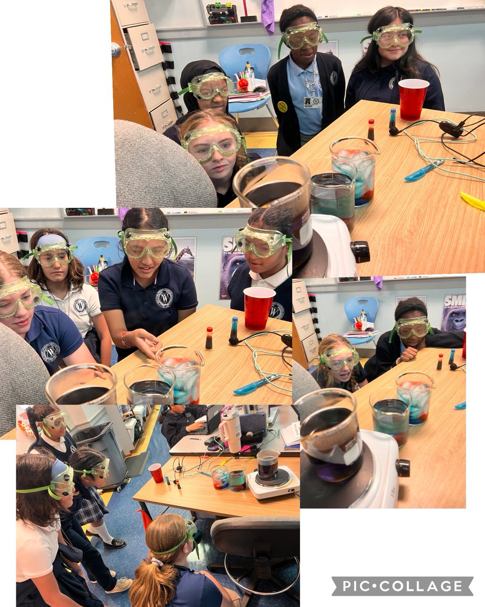 Courtney Cornwright tweet media