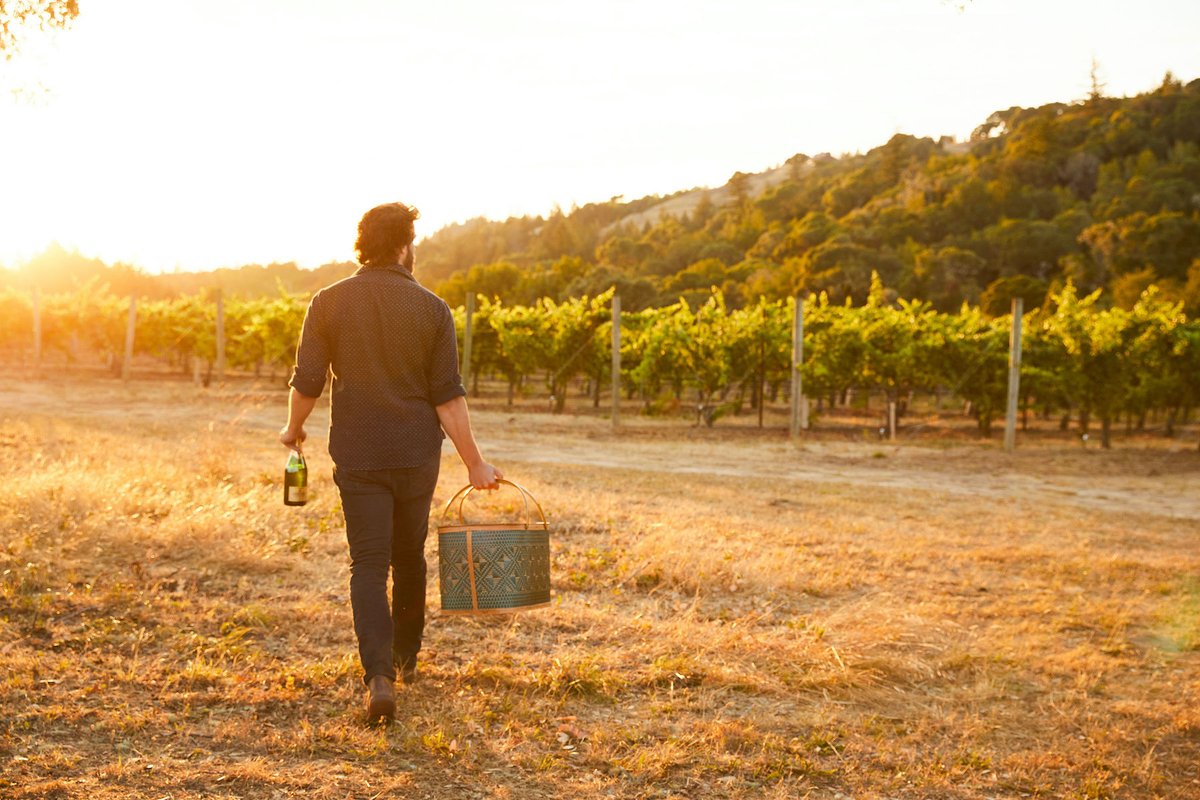 Scharffenberger Cellars tweet media