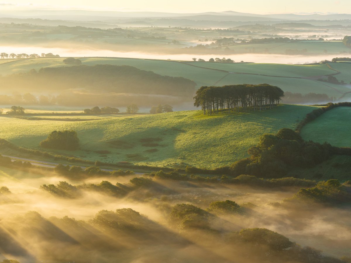 adamburtonphoto's tweet photo. I was up with the lark again this morning for a lovely bit of misty loveliness, Devon style. It was a proper autumnal morning, wonderful to be out.
#KaseFiltersUK #CookworthyKnapp #nearlyhometrees #devon #visitdevon #Lifton #bbccountryfile #capturewithconfidence https://t.co/IfnmGTnqgS