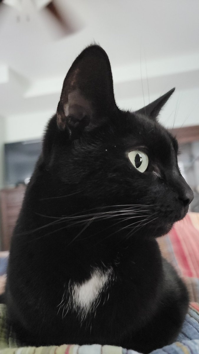 BZB_nc's tweet photo. @RubberNinja This is Eric! https://t.co/oAfPUxgWjC