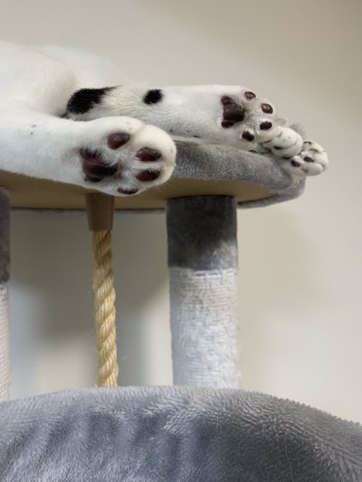 Twitterのコスプレ画像21