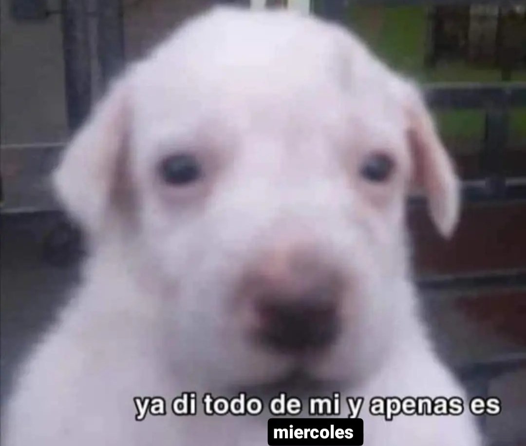 Jean Pierre (@jsalmasi) on Twitter photo 