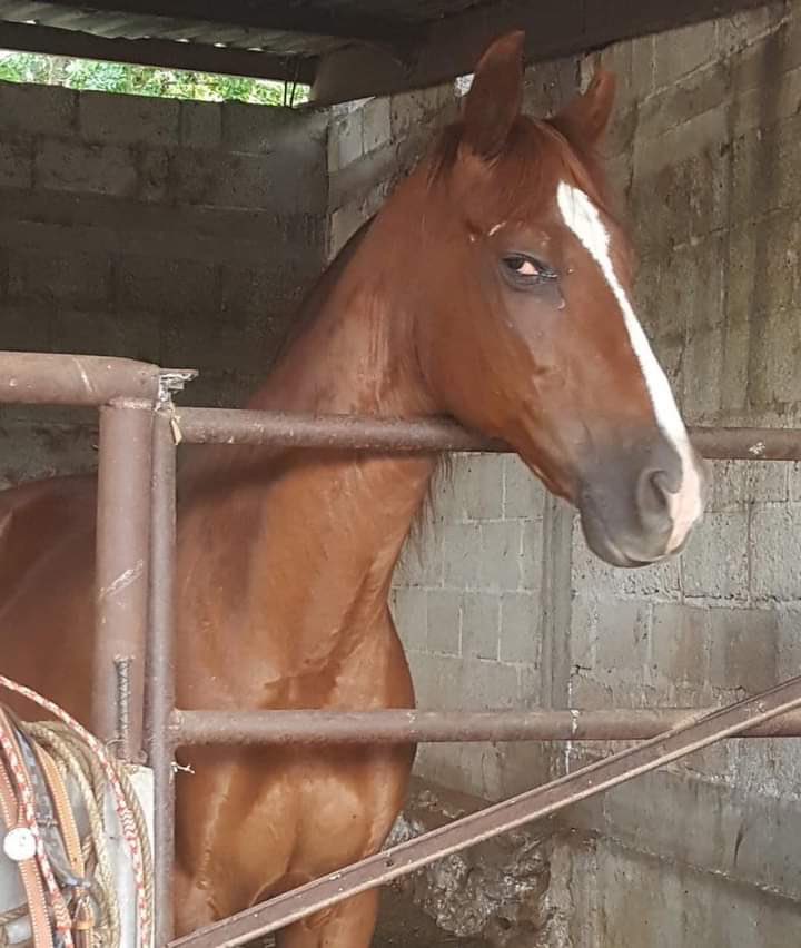 corridosybandas's tweet photo. -Eres la primera que traigo al rancho…
—… https://t.co/6WytteVtqF