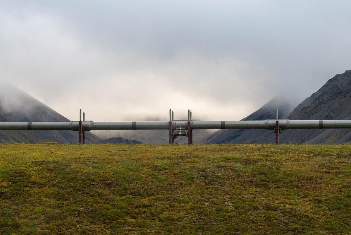 oregontrio's tweet photo. This year, twelve STEM students from Oregon State University's TRIO-Upward Bound program had a unique opportunity to join scientists at TFS to explore the impacts of climate change on the tundra. 🌱 https://t.co/PcqS2ycdGU