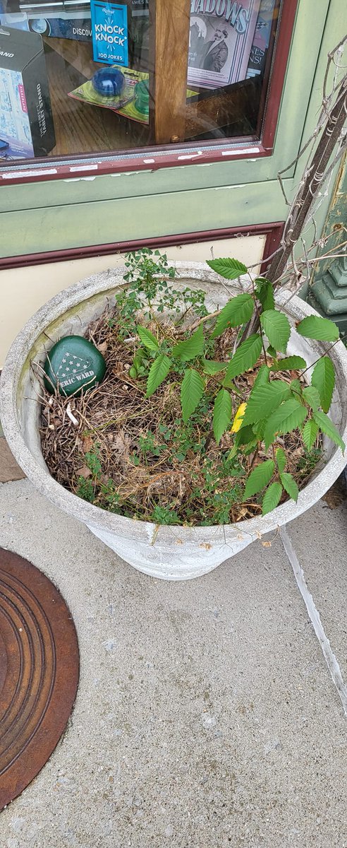 4WARDproject's tweet image. This rock for Eric was found at Clays Ferry Overlook in Richmond, KY by Angie &amp;amp; Gene Waggoner, who took it with them to Midway, Kentucky. 💚➡️ To place a rock somewhere in the world to help our efforts to stop military/veteran suicide, go to 4wardproject.com/store.html 🇺🇸 #end22aday