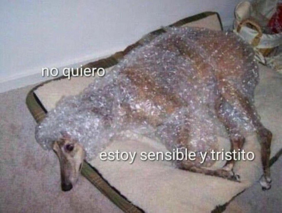 yo siempre