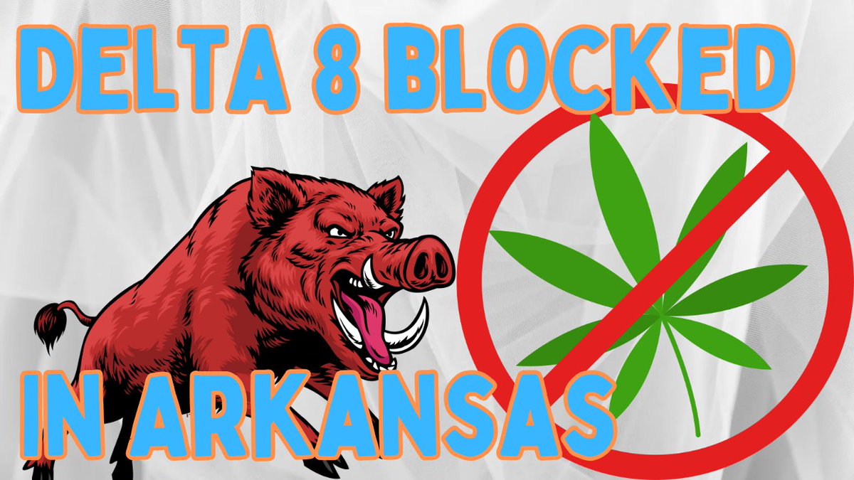 Arkansas' Delta-8 THC Ban Hits a Roadblock! A Federal Judge Rules in Favor of Cannabis Businesses, Citing Constitutional Concerns. Is this a win for cannabis rights? 🌿⚖️ #MarkScialdone  #Delta8THC #CannabisLegalBattle