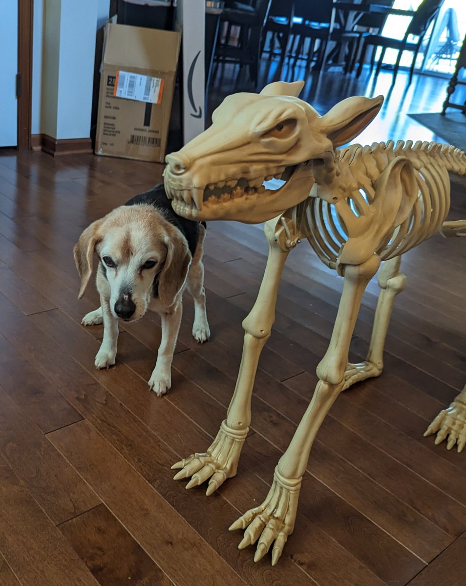 I got the perfect pair of Halloween decorations.