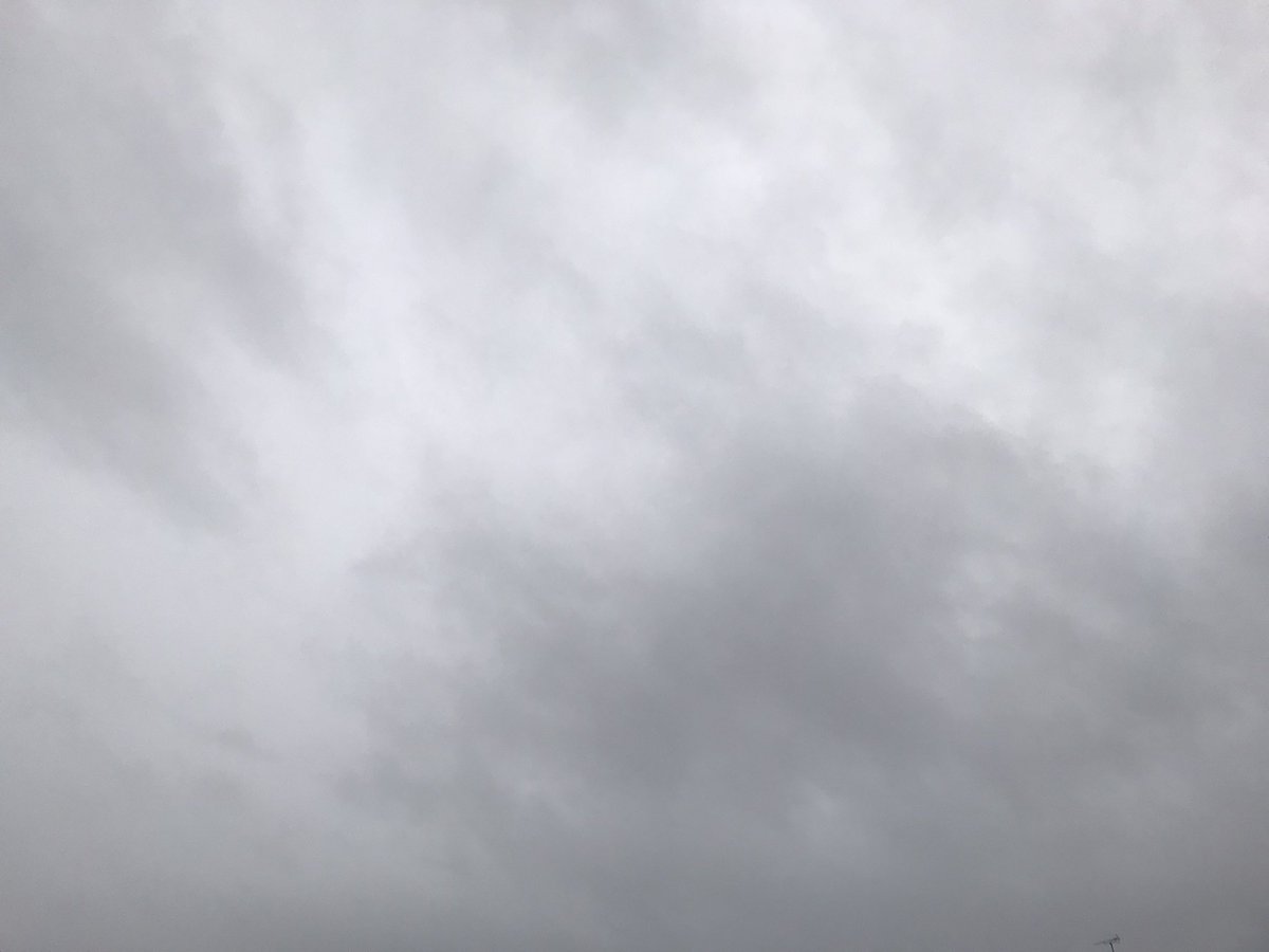 DogOrganic358's tweet photo. おはようございます☀
福岡今日は雨☔️雷⚡️
行ってきます！
それにしても雷がすごい⚡️

#企業公式が毎朝地元の天気を言い合う
#企業公式相互フォロー
#企業公式つぶやき部
#福岡
#おは戦 
#dog
#dogfood
#petfood 
#イマソラ https://t.co/01hiqKsCZY