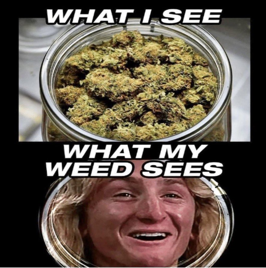 JoeyDoge42069's tweet photo. @NoContextHumans https://t.co/nkmtklyzAh