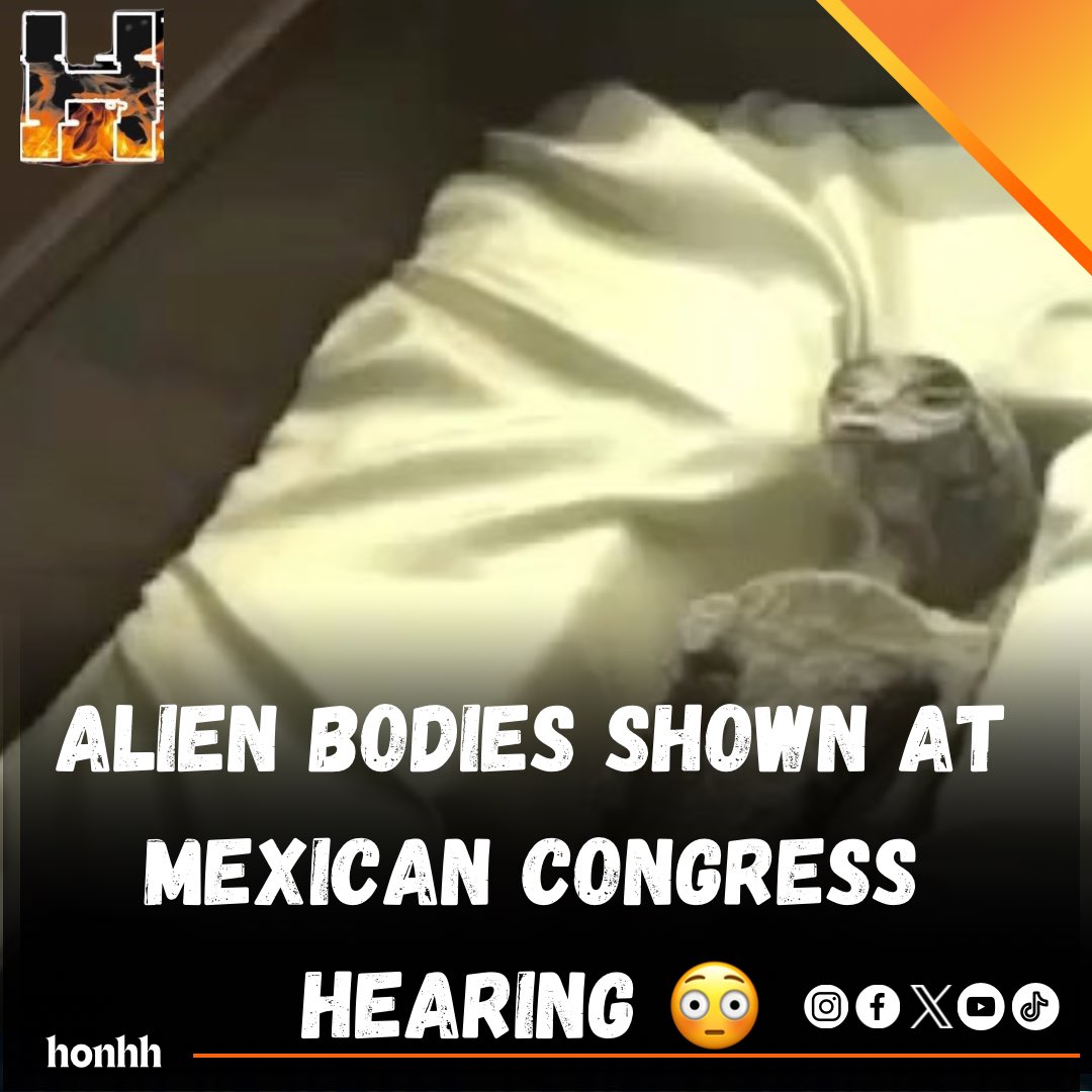 HotOrNotHipHop's tweet image. Aliens 👽 👾 #hotornothiphop #hotornot #honhh 

.
.
.
.
.
#alien #aliens #artist #conspiracy #conspiracytheory #cosmos #digitalart #dmtart #drawing #earth #fanart #illustration #love #meditation #mystery #nature #paranormal #science #sky #space #spaceship #spacex #truth #ufo