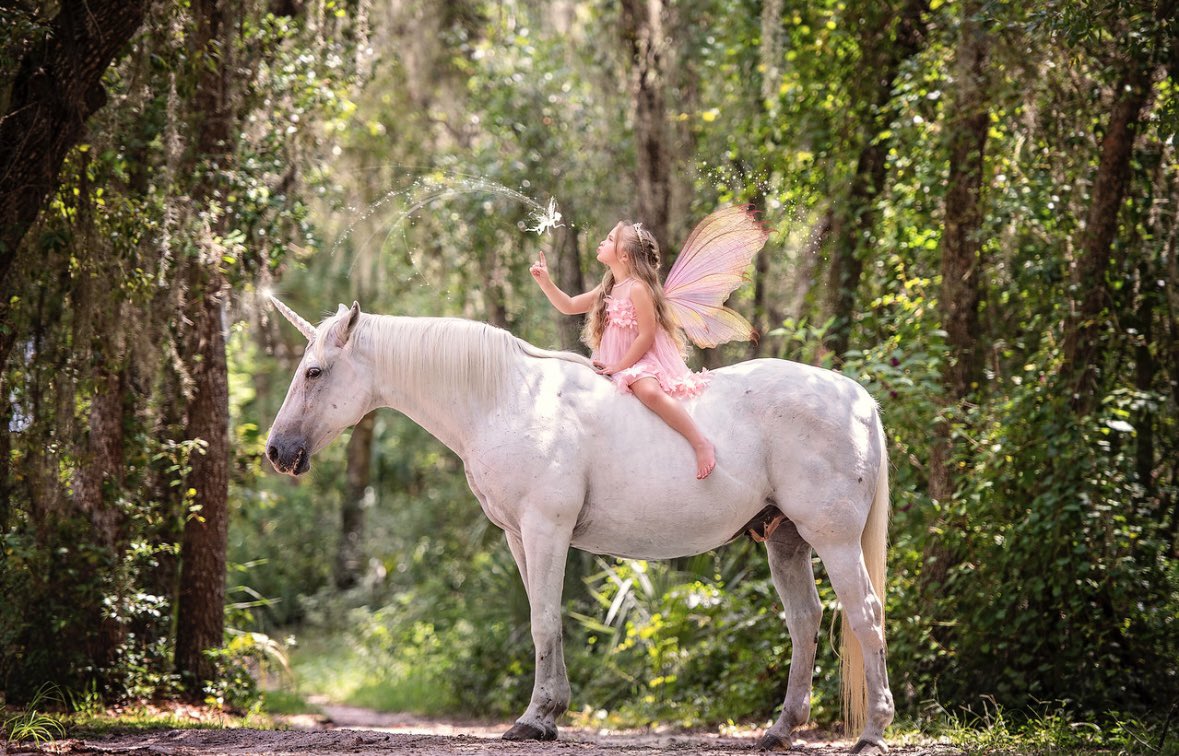 Christine Cole tweet media