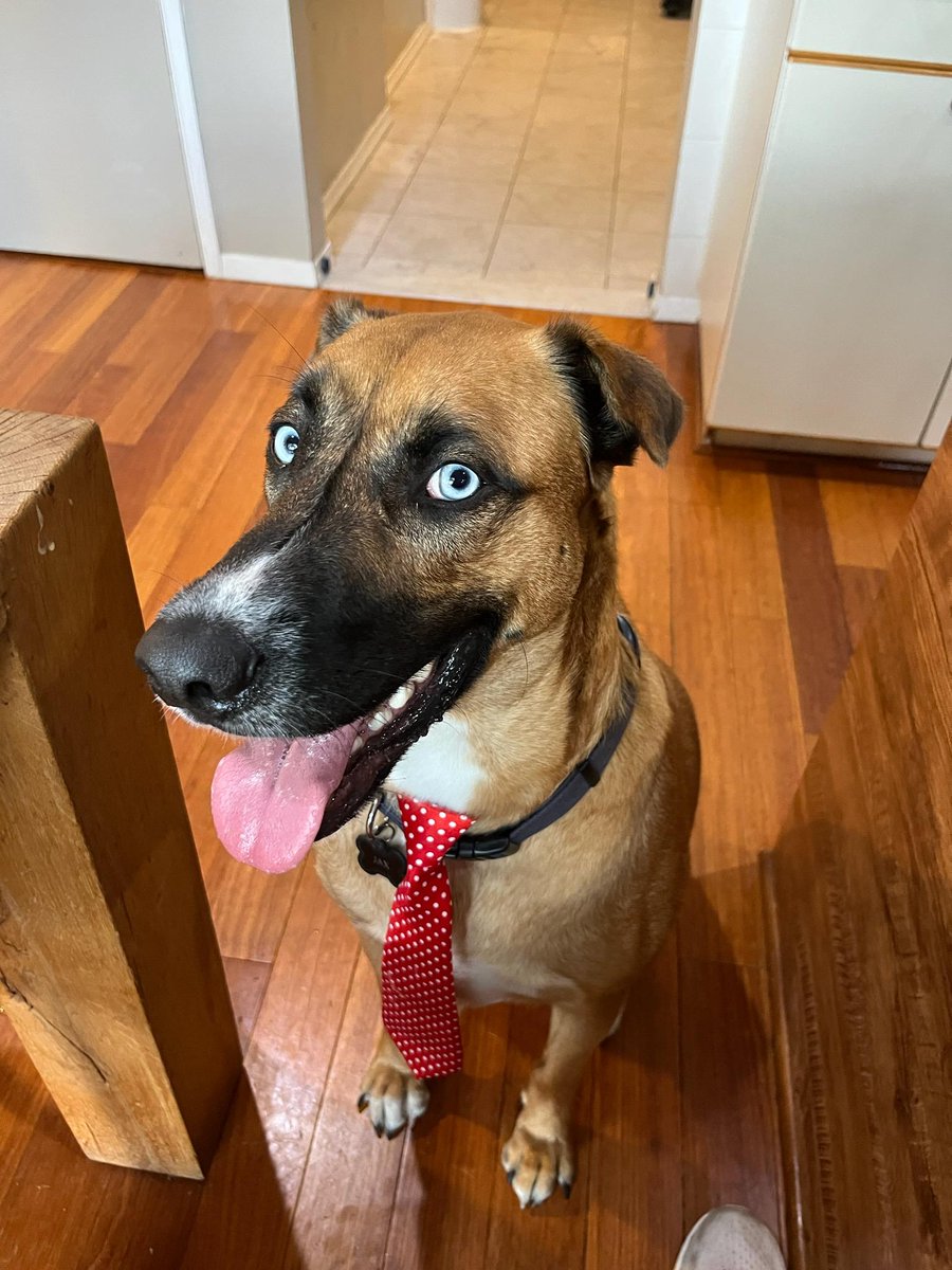 Jason Aptekar tweet media