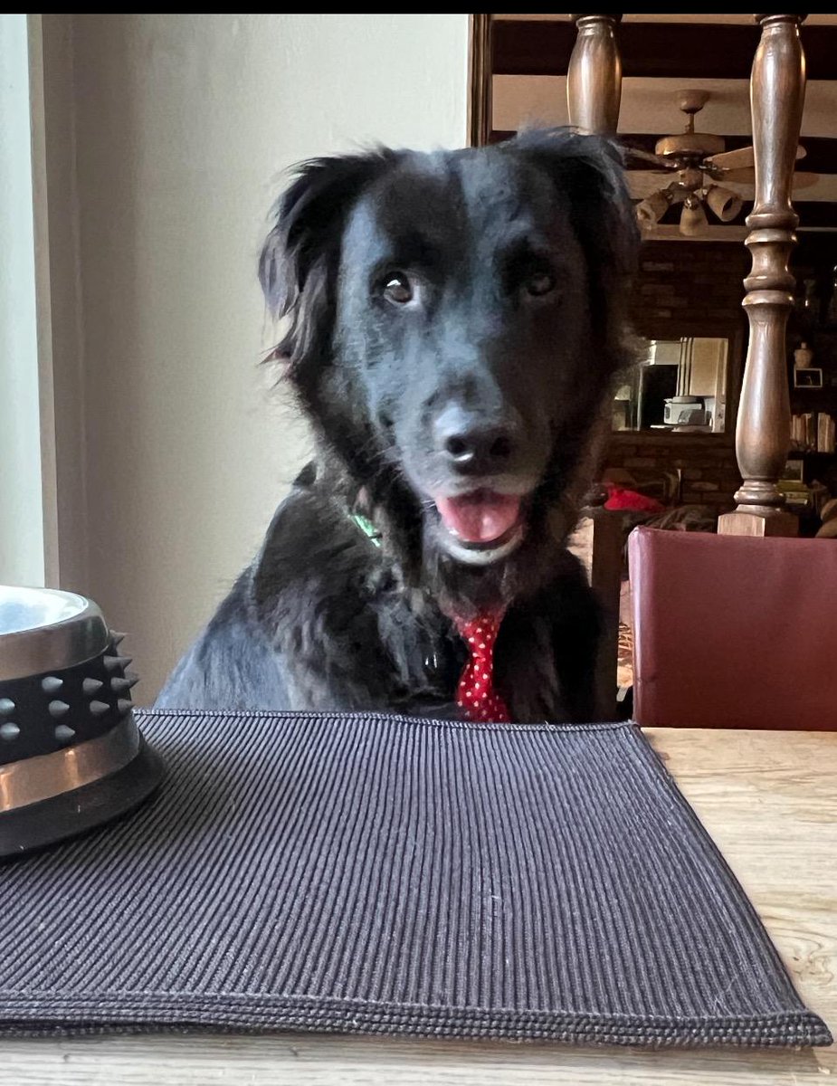 Jason Aptekar tweet media