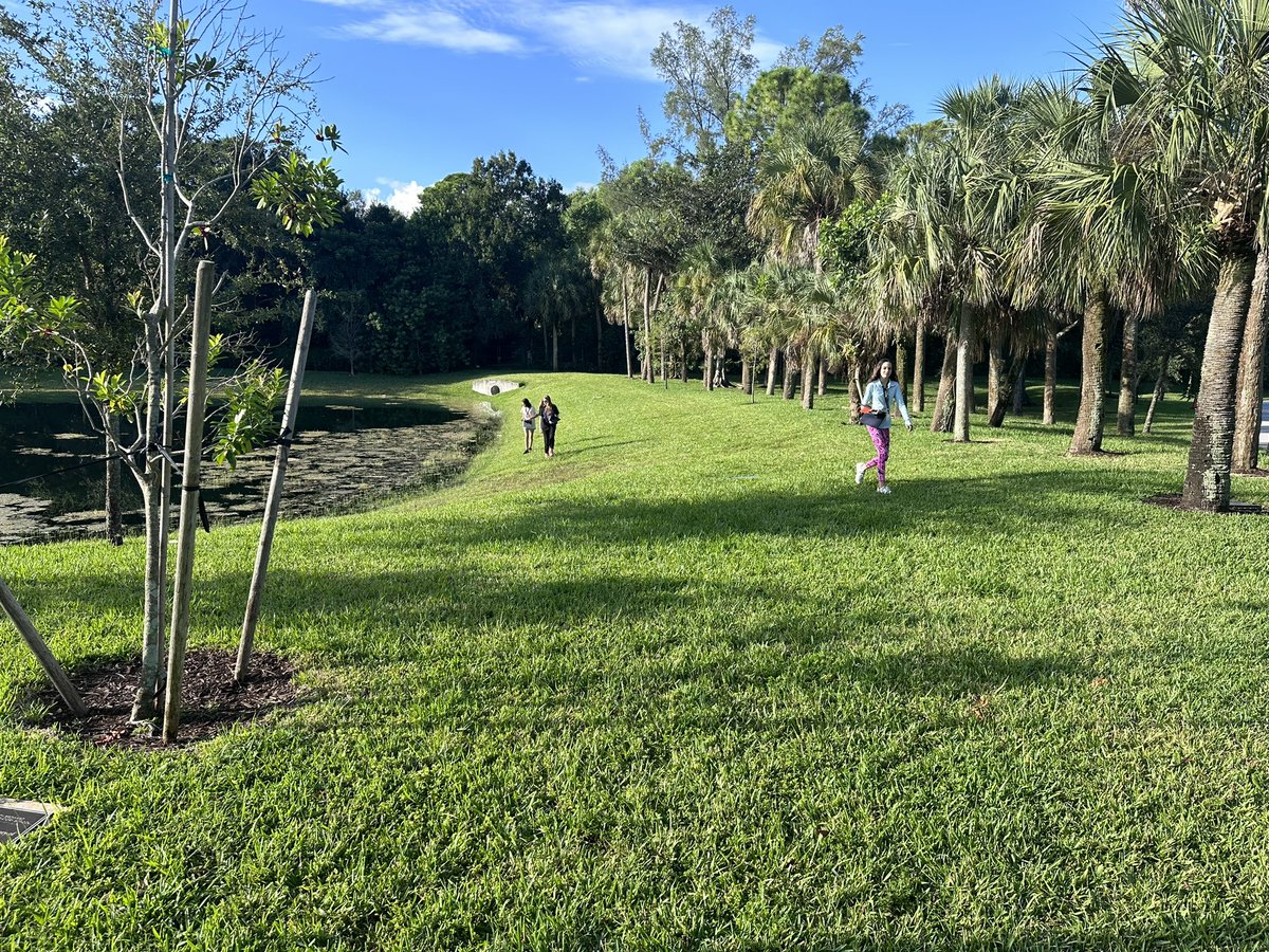 Alisha Hogg 🐬 tweet media