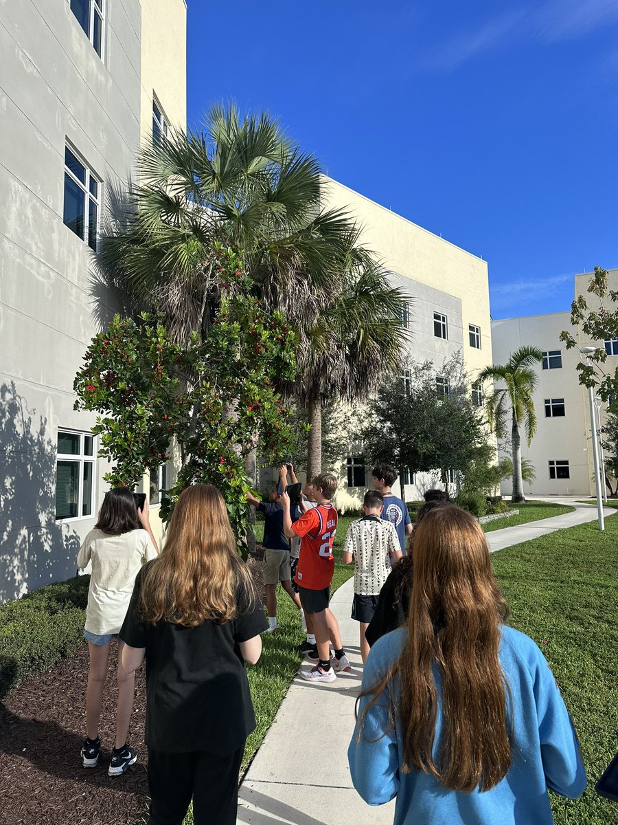 Alisha Hogg 🐬 tweet media