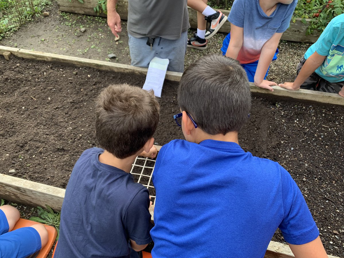 Mary Lattin tweet media