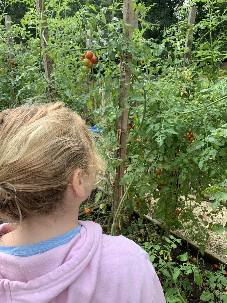 Mary Lattin tweet media