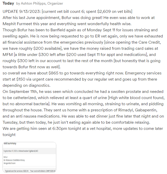 HighMonsterMutt's tweet image. UPDATE FOR #BofurTheServiceDog 
We are preparing for another big emergency bill as I&apos;m sure they&apos;ll want to hospitalize him again. Last time this happened, it was $1,800 total for a 3 day stay at V.S.S. for diagnostics alone.
gofund.me/c9235994
#MFM2023 #MephitFurMeet