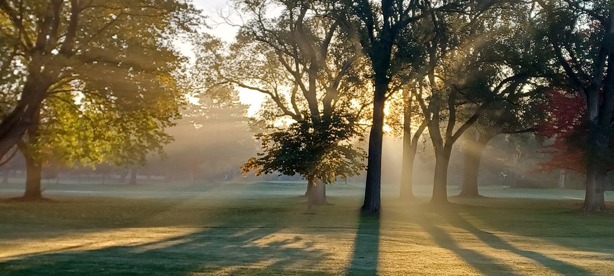 Mike Magwood tweet media