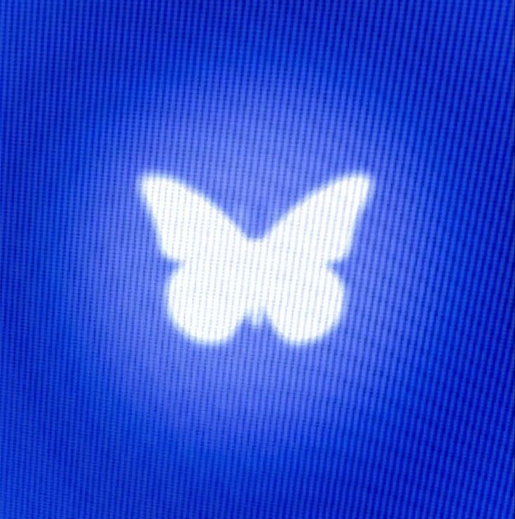 alwaysLuuuucad's tweet photo. •15• حیوون مورد علاقت؟ https://t.co/xp9rFmZmjD