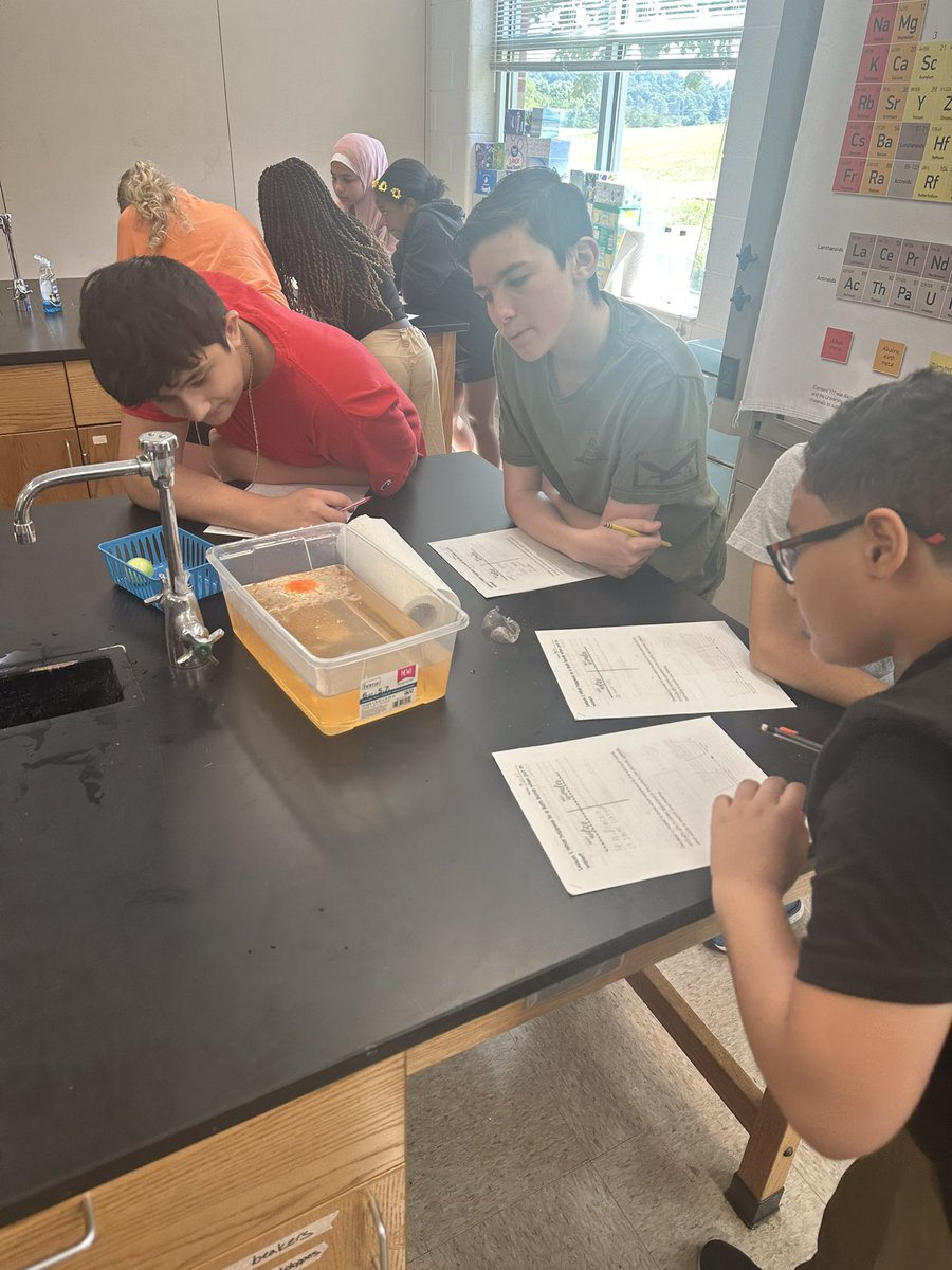 Bethany Saunders tweet media