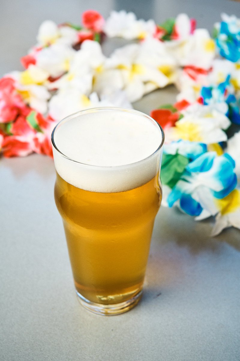 AZWildernessCo's tweet photo. Our version of Kokua is a session IPA brewed with Waimea, Mosaic, and Wai-iti hops. A portion of proceeds will be donated to the Maui Brewing Co. Fire Fund. Find it on draft at Wilderness Gilbert and Wilderness DTPHX Thursday. https://t.co/xpcRqOLGHT