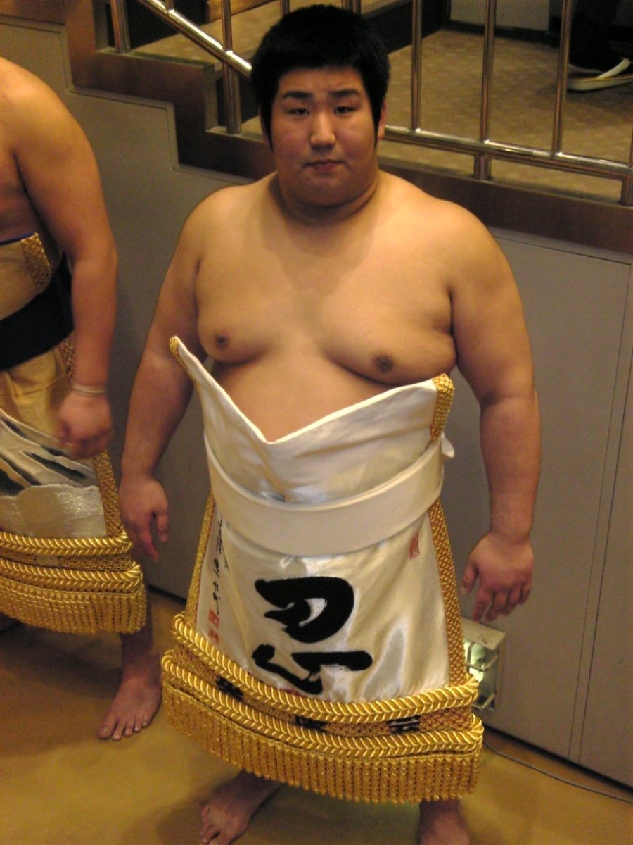 専用のため購入不可】徳勝龍引退千田川親方襲名大相撲 両国 枡席4枚 