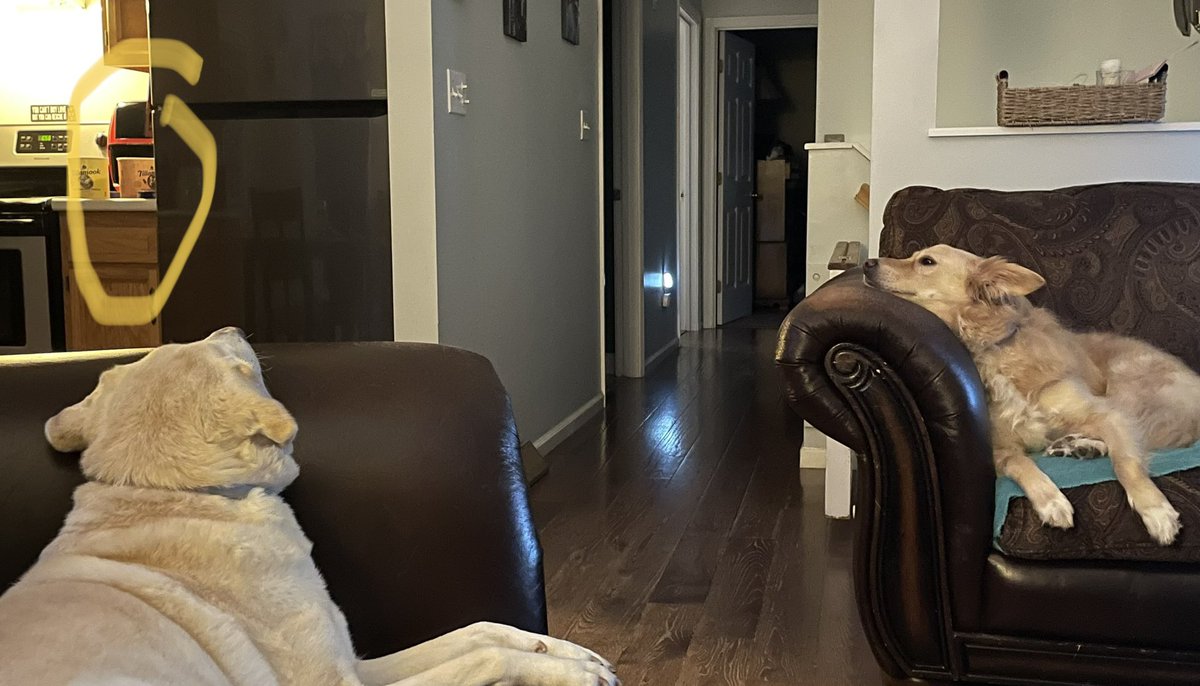 When Mom takes the ice cream out.