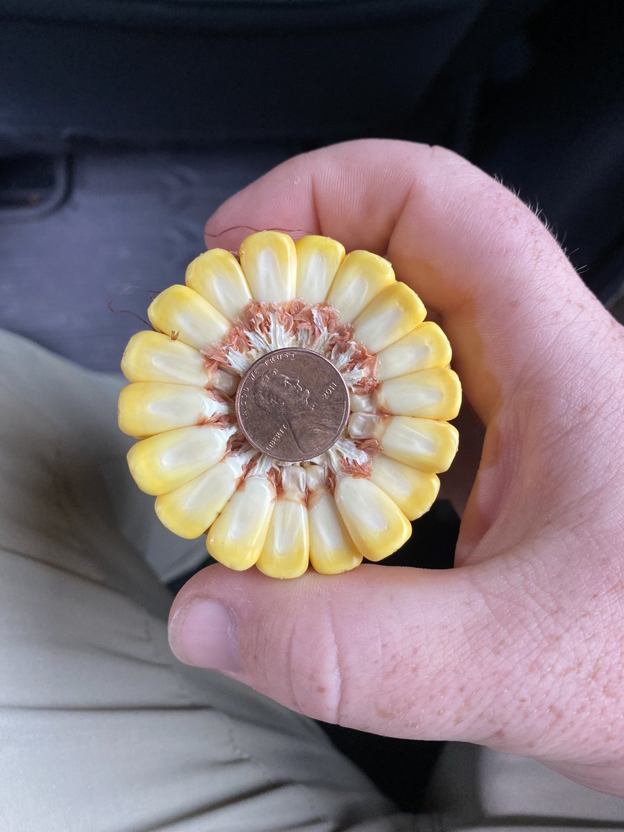 Zak Garver tweet media