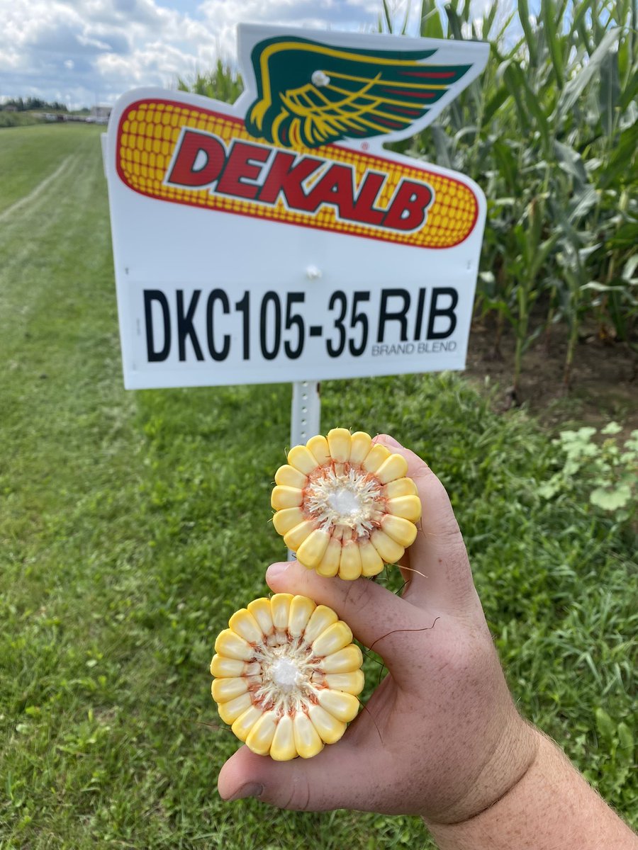 Zak Garver tweet media