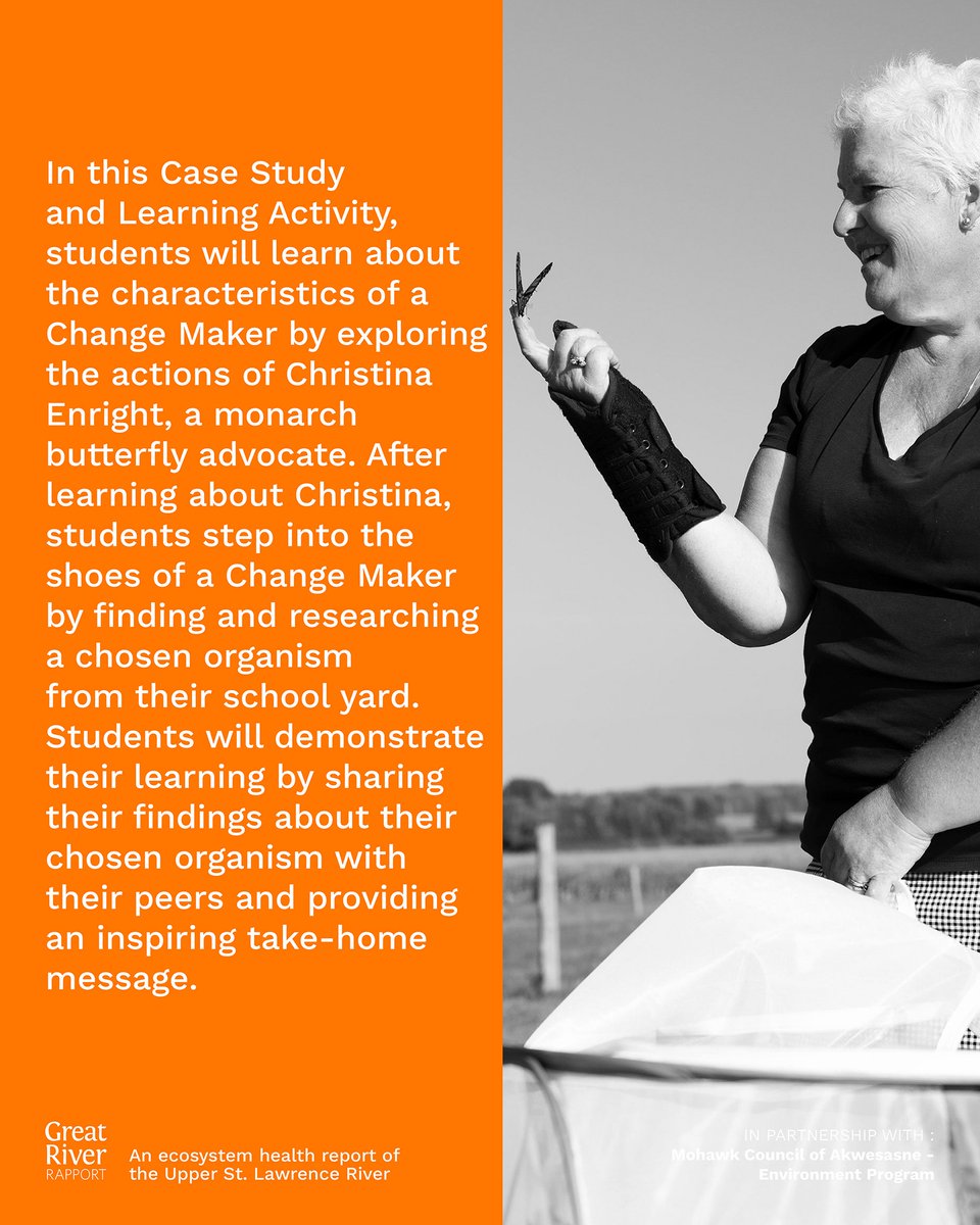 River Institute tweet media