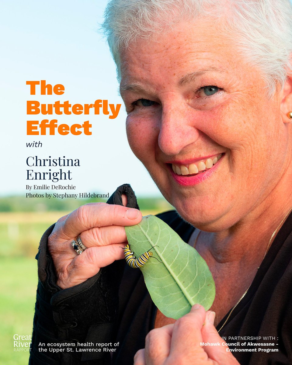 River Institute tweet media