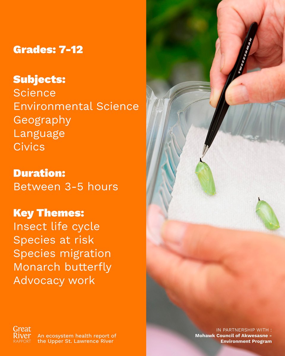 River Institute tweet media