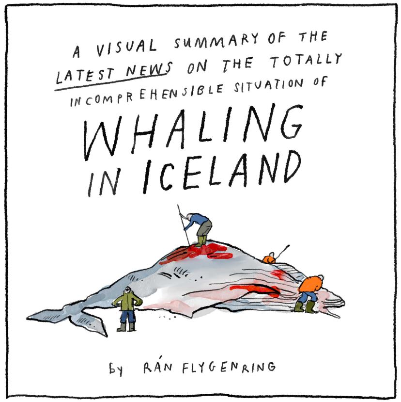 Iceland is one of three countries still conducting commercial #whaling—a cruel and outdated practice. Learn the latest by viewing <a href="/RanFlygenring/">Upp með hendur</a>’s brilliant <a href="/SubstackInc/">Substack</a> report on Icelandic whaling: ranflygenring.substack.com/p/my-whale-rep…