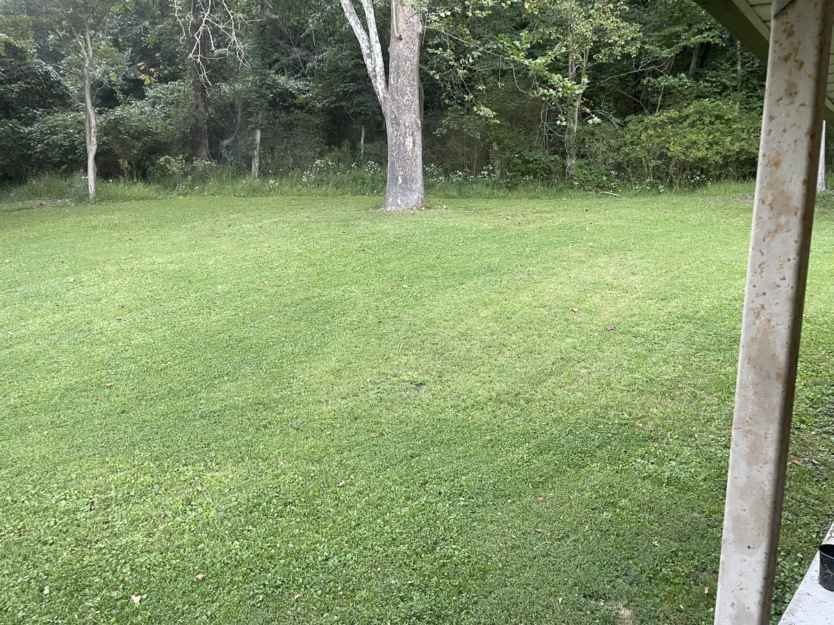 Addy Daddy (@Decentdick93) / X