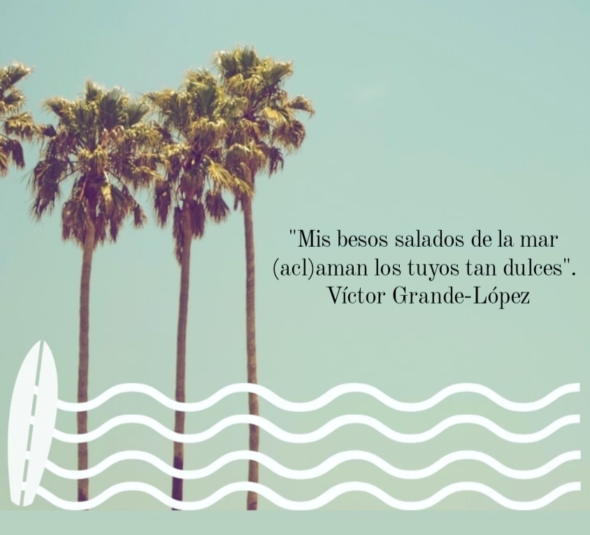 Libros de Víctor Grande-López 📚 tweet media