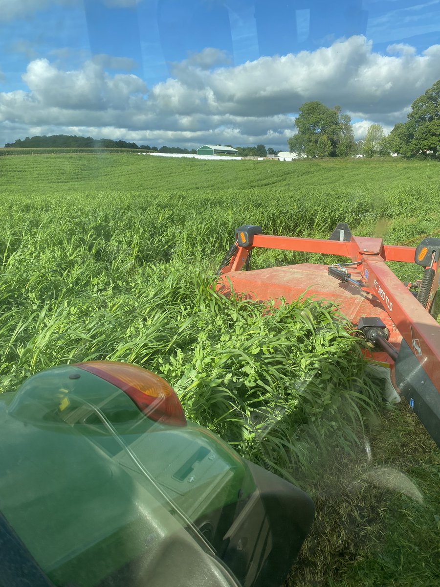 Justin Burgess tweet media