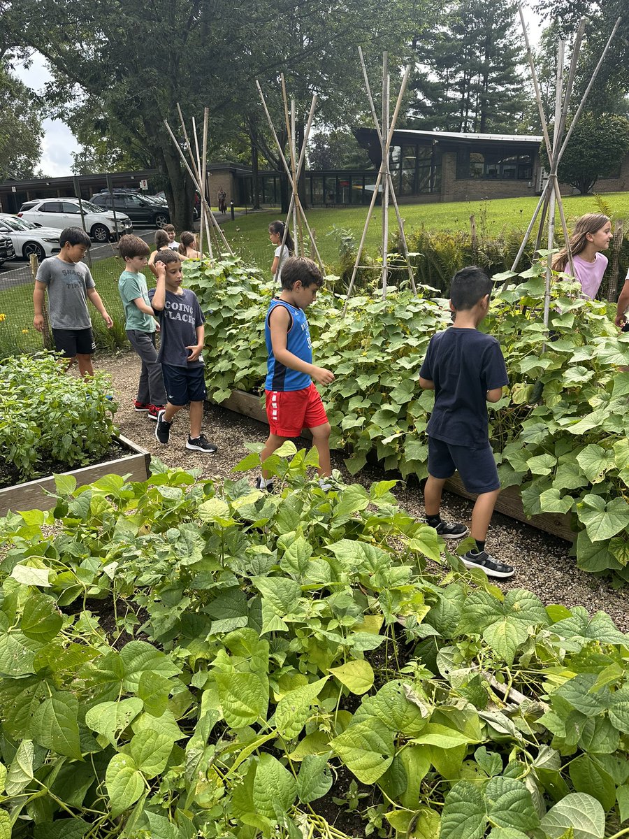 Ciara O'Neill tweet media