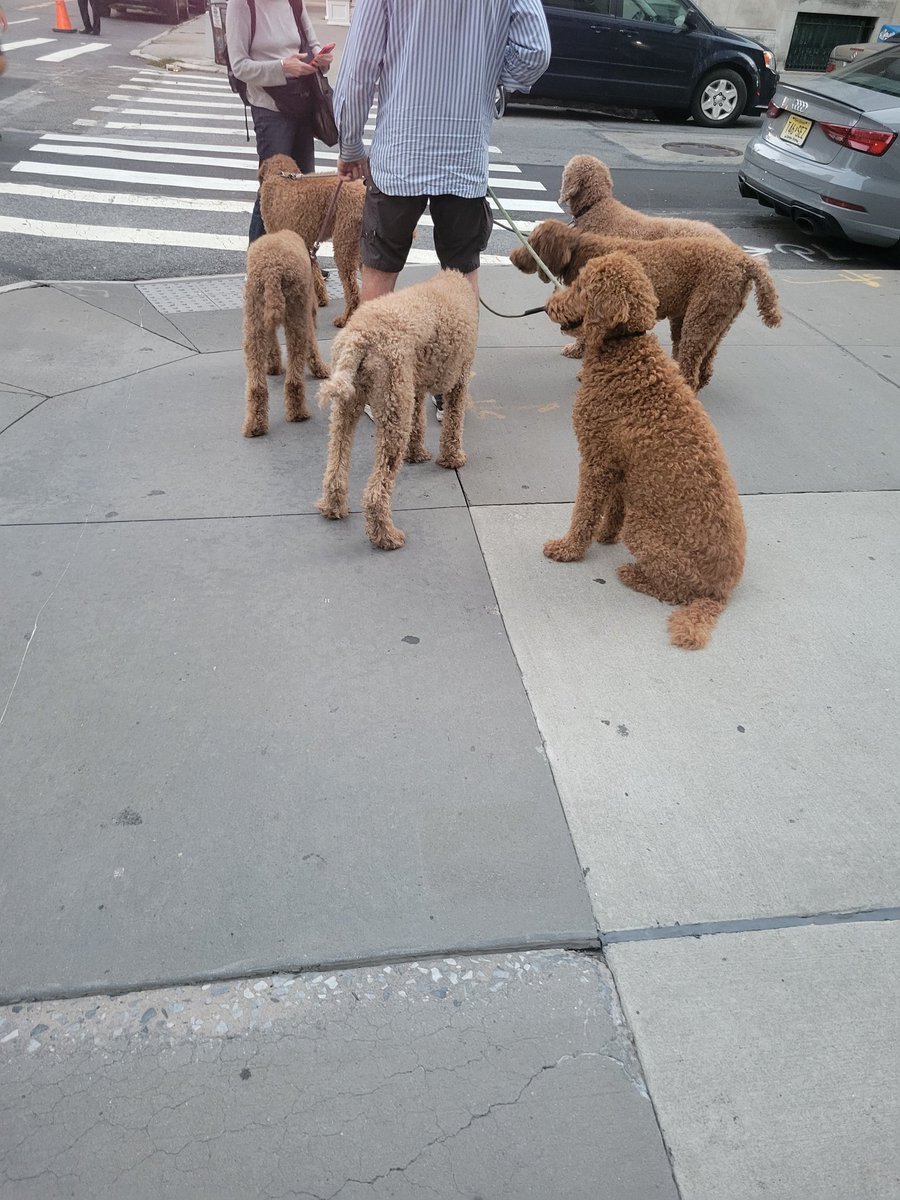 Andrew Hurst tweet media