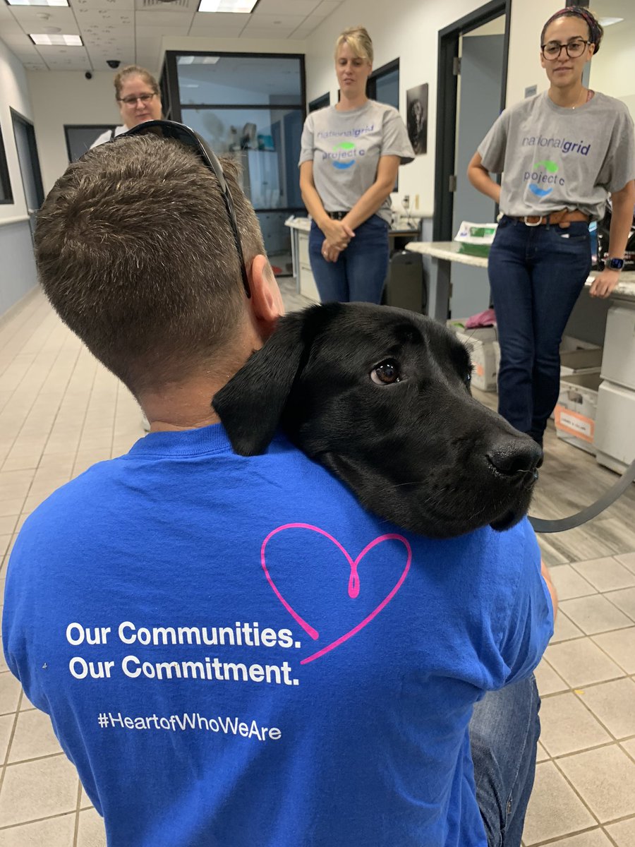 Puppy Love 
#volunteering <a href="/AmericasVetDogs/">America's VetDogs</a> w service dogs being trained for #Veterans #NGProjectC <a href="/nationalgridNY/">National Grid NY</a> visit  vetdogs.org to become a #puppy trainer <a href="/GuideDogFdn/">Guide Dog Foundation</a>