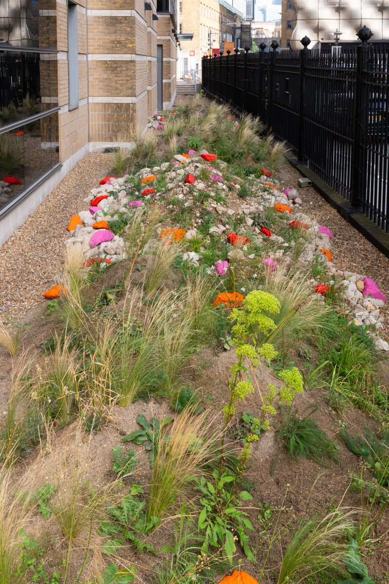 cityscapesUK's tweet photo. Great to celebrate the unveiling of the #WasteToWildlifeGarden at Guy's Hospital with our project partners @GSTTnhs
@KingsCollegeLon
@TeamLondonBdg 
The urban garden provides habitats for #biodiversity, made from recycled crushed concrete and sand with drought tolerant #plants . https://t.co/3KBJRXywy3