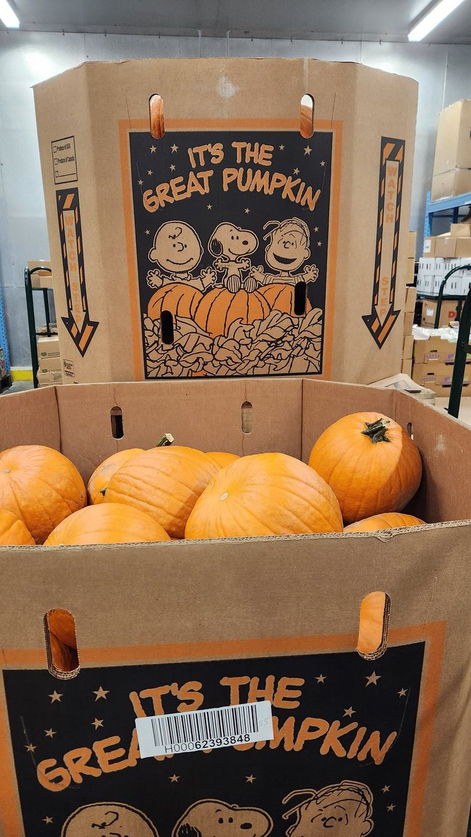 graywithclouds's tweet image. 🎃